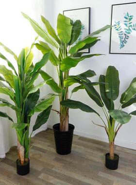 香蕉树模拟植物大型绿色植物假盆栽室内装饰假花客厅假树地板站立
