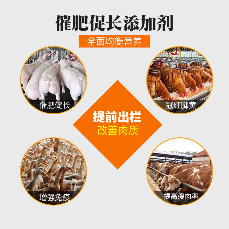 电解多维鸡饲料添加剂禽用蛋鸡鸭鸟增蛋散兽用产蛋维生素蛋鸡饲料 - 图0