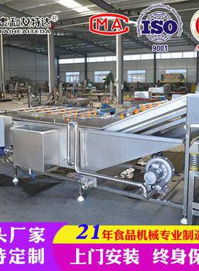定制大白菜去虫清洗机 净菜加工设备 压气泡喷淋清洗机