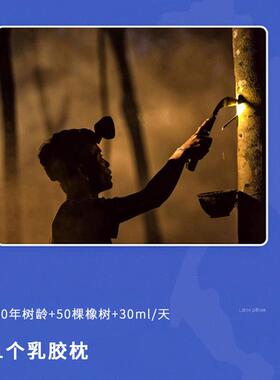 琥珀蜜蜡枕头带枕套护颈a类高枕不塌乳胶枕成人老人家用酒店宿舍