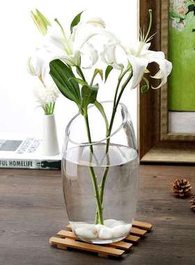 花瓶摆件玻璃花瓶客厅透明插花富贵竹绿萝水培干花花瓶斜口鱼缸