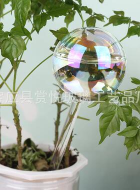 圆球插花器 现代创意简约绿植灌溉插花器 镭射玻璃懒人自动浇花器