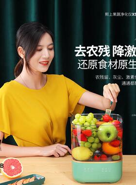 臭氧果蔬清洗机去农残蔬菜水果清洗机洗菜机食材净化器果蔬净化器