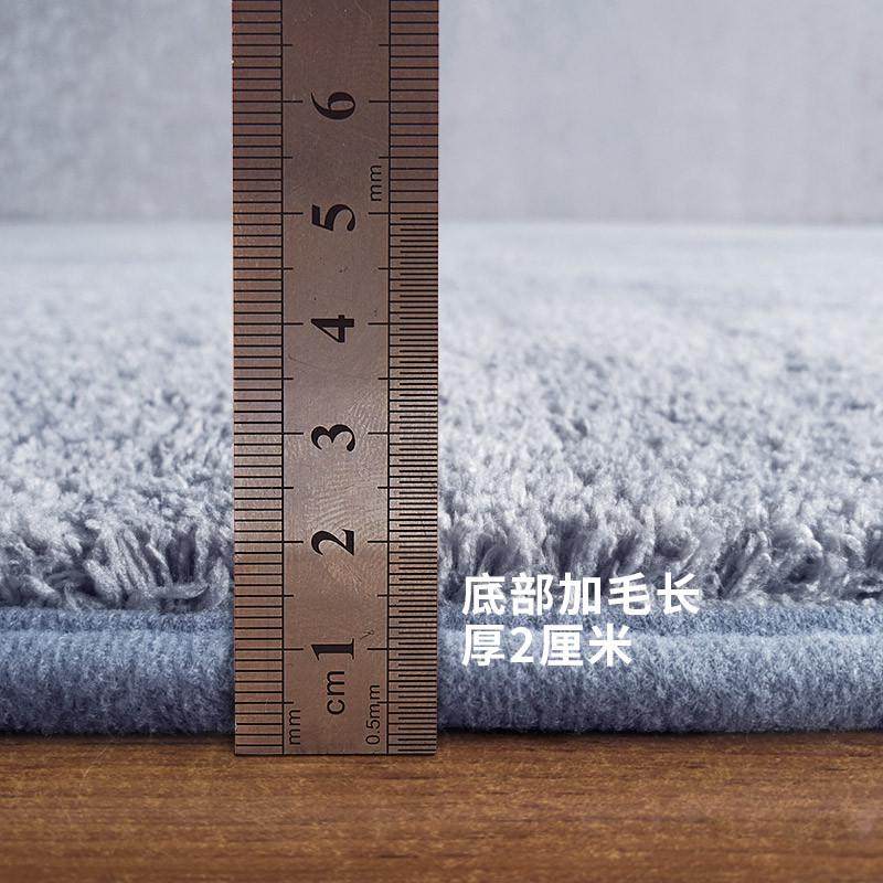 现代轻奢北欧风格网红地毯客厅纯色百搭民宿家用卧室床边可睡可坐,淘宝优惠券,粉丝福利购,淘宝优惠卷