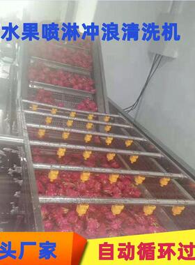 杏子清洗机苹果甜橙山楂气泡清洗机水果蔬菜加工清洗机械设备