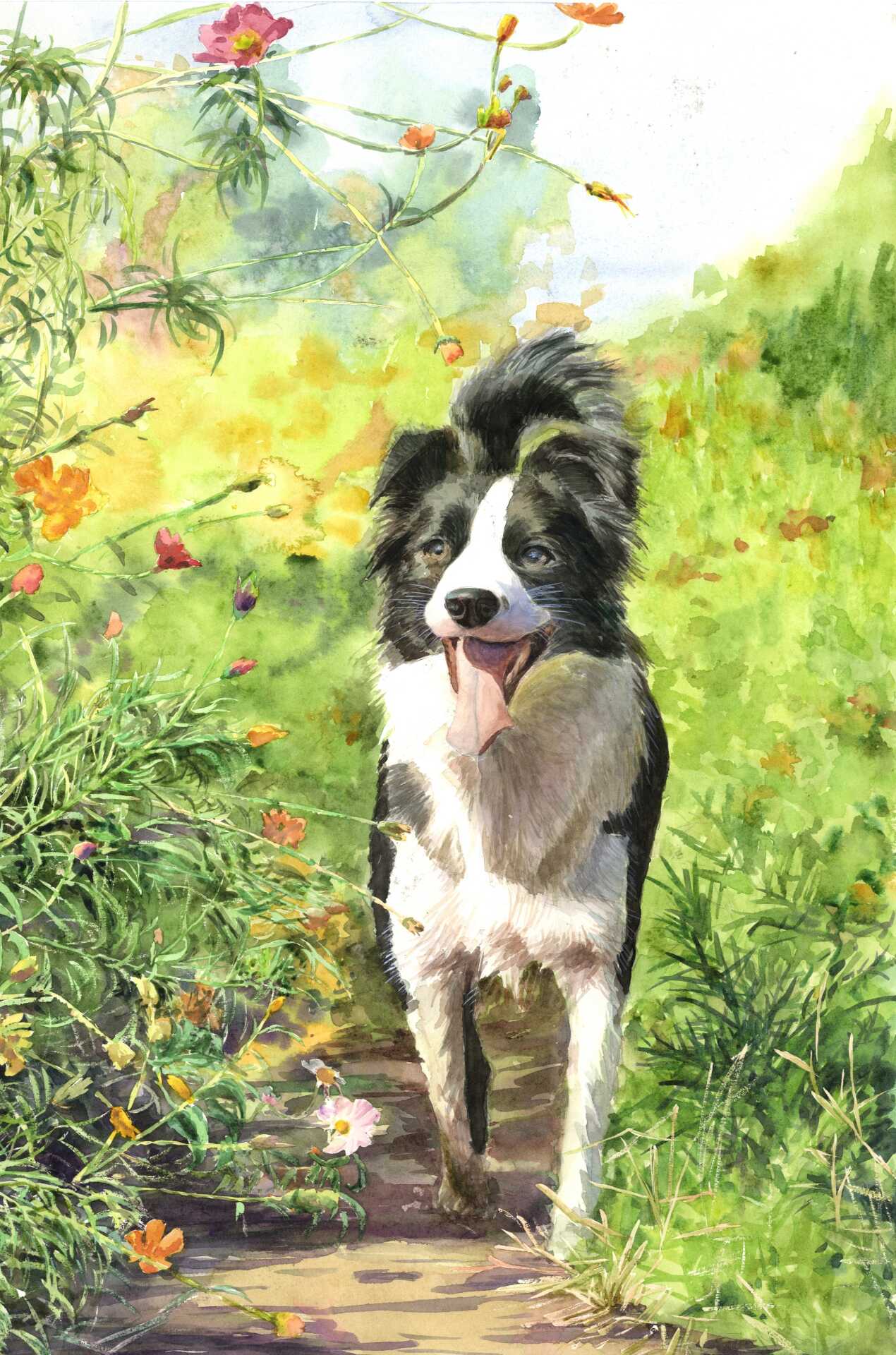 宠物水彩画 新人首单立减十元 22年8月 淘宝海外 宠物水彩画 新人首单立减十元 22年8月 淘宝海外