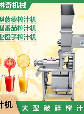 螺旋破碎榨汁机石榴榨汁西瓜榨汁番茄榨汁0.5T/H商用小型榨汁机