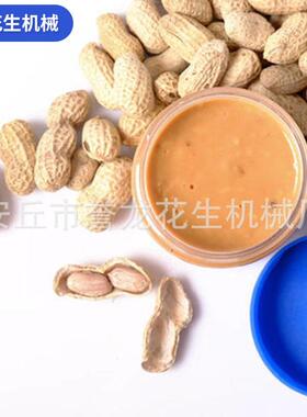 定制夏威夷果杏仁腰果花生芝麻磨酱机立式不锈钢胶体磨研磨机