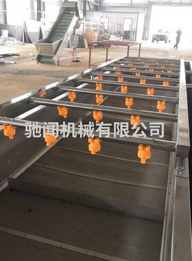 山野菜清洗加工设备 全自动净菜加工气泡清洗机 葡萄水果清洗池