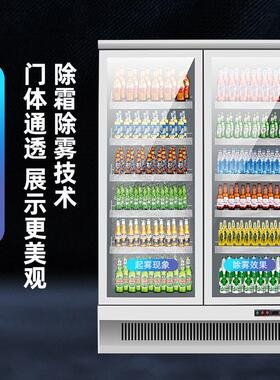 冷冻柜商用玻璃门立式冰柜保鲜冷藏冷冻设备便利店鲜花商用冷柜