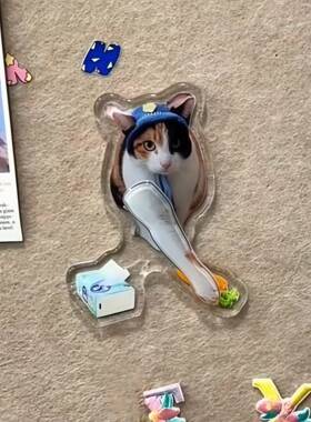 罗卜纸巾猫咪压克力冰箱贴真棒大开门瞎蒙看眼色小猫摆动磁吸装饰