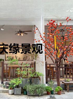 仿真柿子树绿植卧室角落装饰餐厅窗边摆放办公室前台布置温暖自然