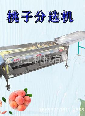 可调节式龙眼分级机不锈钢轨道式黄皮果分拣机商用果蔬分大小机