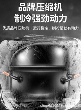驰雪四门冰箱商用大容量冷藏冷冻柜厨房立式保鲜4六开门双温冰柜