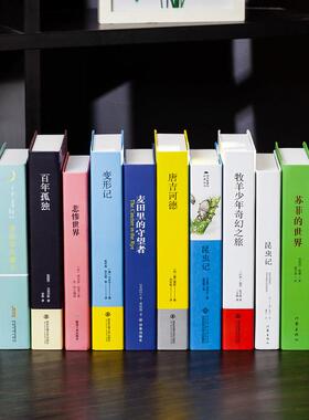 现代简约假书摆件彷真书装饰品创意摆设书架摄影拍照道具书盒壳子