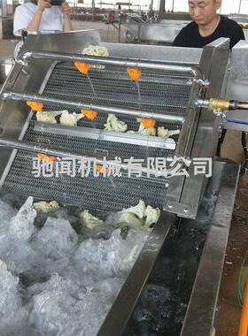 海带大虾鱼压喷淋气泡清洗机商用毛辊清洗海鲜清洗机多少钱