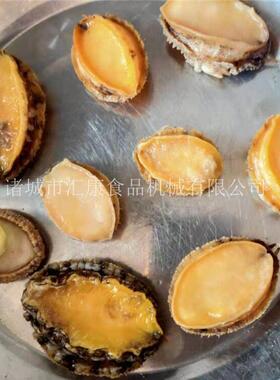 鲜肉连续切割多层切片机 鸡筋开口机  牛肉干抛片机 汇康研发机械