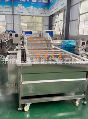 梅干菜清洗加工流水线 薄荷叶气泡清洗机 木耳菜菌类清洗设备
