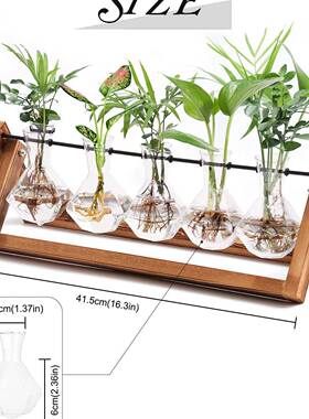 双层水滴木架花瓶家居水培植物插花器水养绿萝花盆桌面办公桌摆件