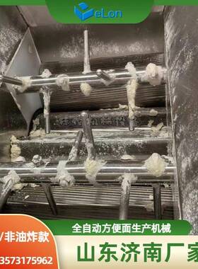 中大型非油炸荞麦面果蔬面青稞面生产流水线设备方便面火鸡面机器