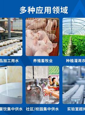 型反678渗透设备RO大净水设备商工业地下水处去用离子水直饮纯水