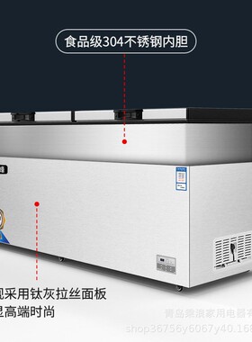 珠峰1688新款大容量双门冷藏冷冻柜家用囤货商用储存餐厅冰柜