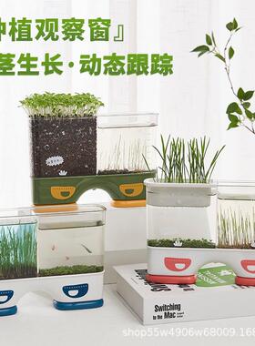 儿童种植箱透明盆栽迷你农场发芽植物观察窗小花农根系生长种菜盒