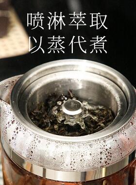 安化黑茶煮茶器全自动家用煮茶壶蒸茶器蒸汽小小型办公室专用白茶