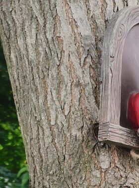 侏儒小矮人小精灵花园户外庭院子树木挂件园艺阳台装饰布置太阳能