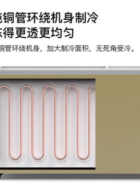 珠峰商用冷藏冷冻两用冷柜大容量保鲜柜双室双温冰箱低能耗急冻
