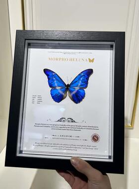 光明女神闪蝶海伦娜蝴蝶喷绘挂画大蓝闪蝶卧室展示框摆件装饰画