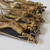 Ginseng Changbai Mountain Participation Next Mountain Ginseng Break Branches 200 gr Old Age Scattered Ginseng in Northeast China Special Care for the Elderly