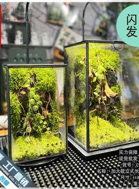 苔藓沉木微景观雨林缸生态瓶造景几何玻璃花房创意植物盆景长方形