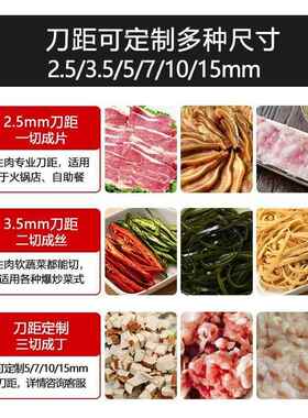 切肉机商用电动鲜肉切片机小型家用全自动不锈钢绞肉切肉丝机切菜