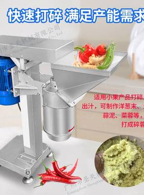 不锈钢多用途果蔬打碎机商用黄姜打蓉机打姜蓉商用高效水果