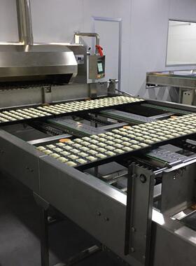 源头厂家供应饼干生产设备盐糖撒布机食品包装平台流水线机械跨境