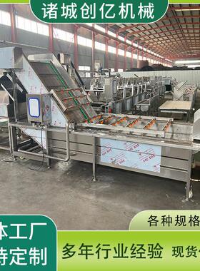 橘子清洗机多功能粑粑柑清洗设备杨梅清洗提升机