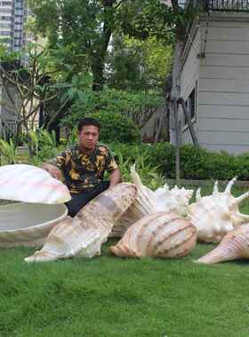 彷真大贝壳摆件海螺雕塑假珊瑚工艺品珍珠蚌模型海洋主题装饰道具