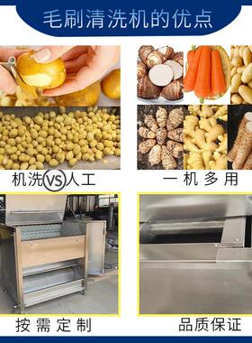 定制肘子猪蹄毛刷清洗机软硬毛土豆胡萝卜变频调速毛辊清洗去皮机