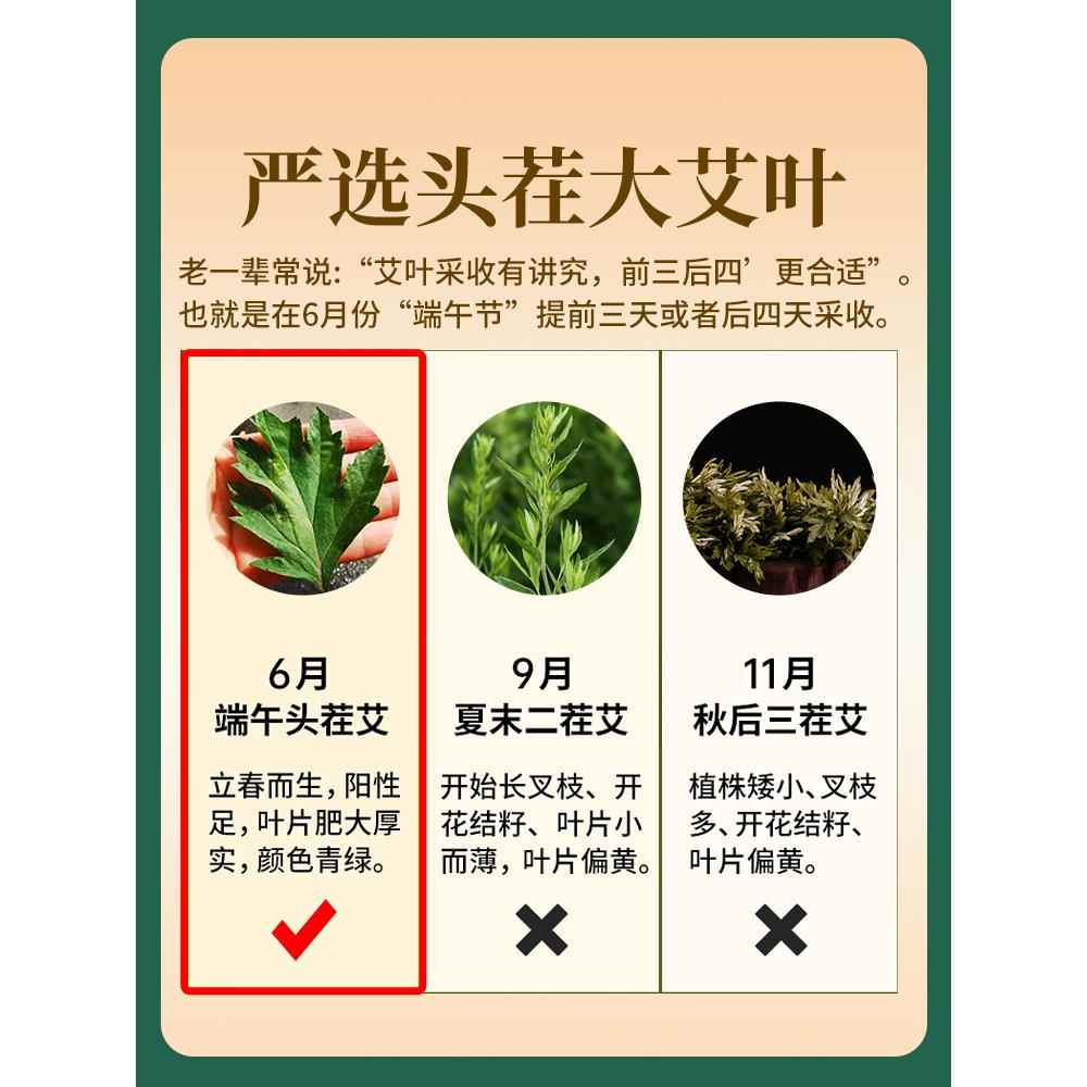 端午陈艾纯艾叶泡脚药包坐月子干艾草儿童泡澡泡脚家用艾叶足浴包 - 图2