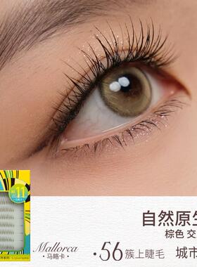 淳睫假睫毛2025新款西班牙城市系列宽版单簇睫毛双面胶水假睫毛自