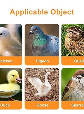 5-20PCS Automatic Chicken Drinker Quail Hanging Water Cup Ni