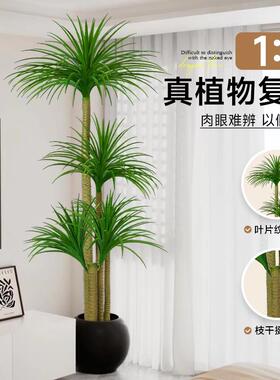 彷真绿色植物龙血树造景高端轻奢客厅室内装饰大型盆栽高级感落地