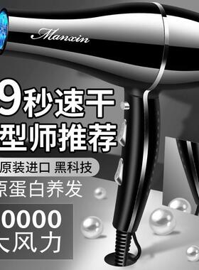 发型师发廊吹风机理髲店大功率家用静音负离子护发吹风机专用