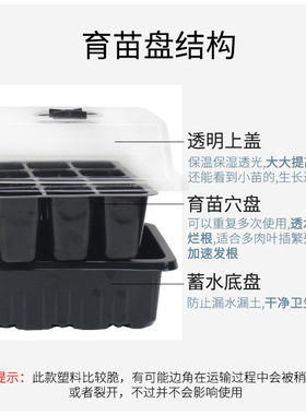 家用带盖育苗穴盘育苗神器专用盆营养杯塑料长方形托盘扦插芽菜盒