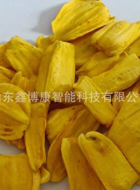 真空膨化机厂家小型菠萝蜜脆片苹果片无添加休闲零食膨化设备