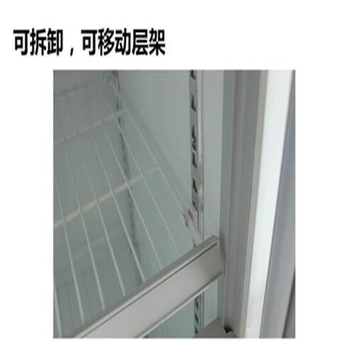 广东商用立式单玻门饮料展示柜直冷冷藏柜保鲜柜食品留样柜 - 图2