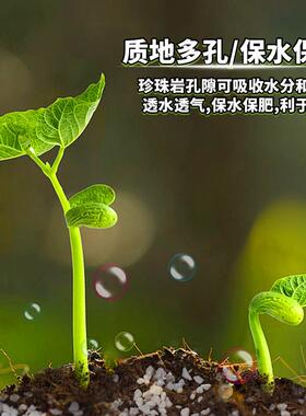 兰花植料珍珠岩无尘大颗粒养花通用营养土多肉兰种植育苗硬质植料