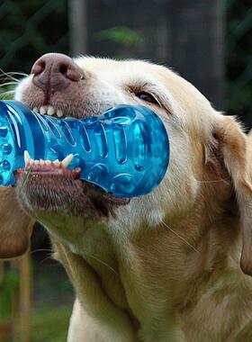 Dog Toothbrush Bone Sturdy Dog Toy Interactive Puppy Game To