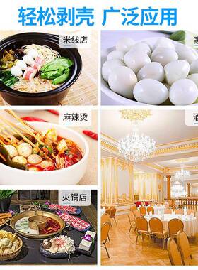 鹌鹑蛋剥壳机家用鹌鹑蛋剥皮机小型鹌鹑蛋自动去皮机鸟蛋扒皮机